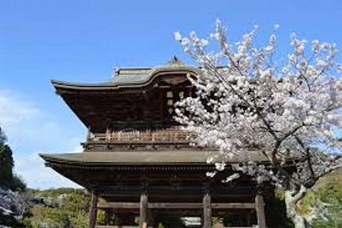 Kamakura Private Custom Tour - A Deep Dive into the Itinerary