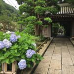 Kamakura: Private History and Heritage Tour by Rickshaw - Frequently Asked Questions