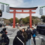 Kamakura: Tsurugaoka Hachimangu & Komachi Street Tour - Exploring Komachi Street’s Lively Charm
