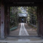 Kamakura Zen  Private 1 day Walking Tour with Lunch - Who Should Consider This Tour?