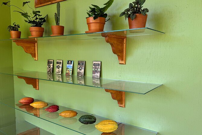 Kamananui Cacao Orchard Tour - Why This Tour Is Worth Your Time