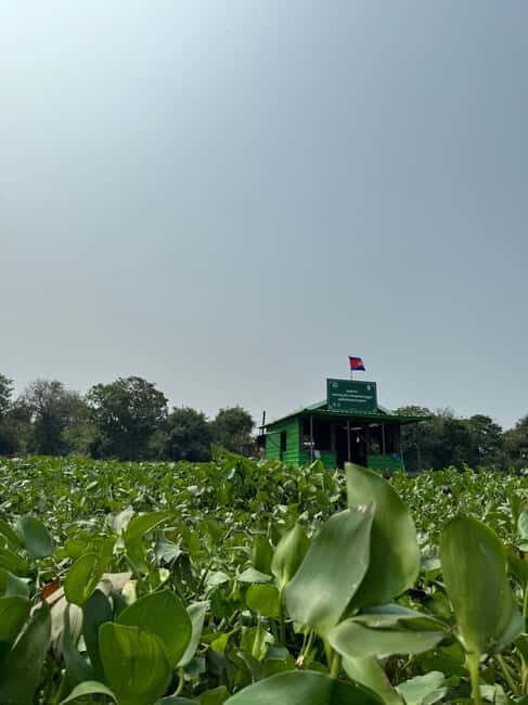 Kampong Phluk Floating Village & Tonle Sap Boat Tour. - Final Thoughts