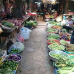 Kampot : Cooking Class in a Local Chef with Market Tour - The Market Tour: A Window into Local Life
