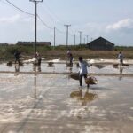 Kampot Countryside Tour - Pepper Farm, Salt Lake, Caves, and more - Authenticity and Value