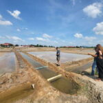 Kampot Pepper Farm, Salt Fields, Cave from Sihanoukville - Practical Details That Matter