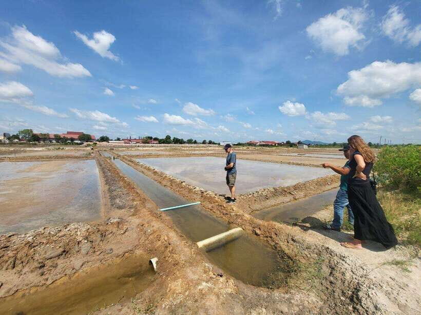 Kampot Pepper Farm, Salt Fields, Cave from Sihanoukville - Practical Details That Matter