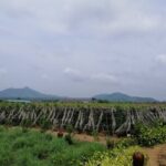 Kampot Tour Pepper Plantation, Salt Field, Cave, Secret Lake - Practical Details and Tips