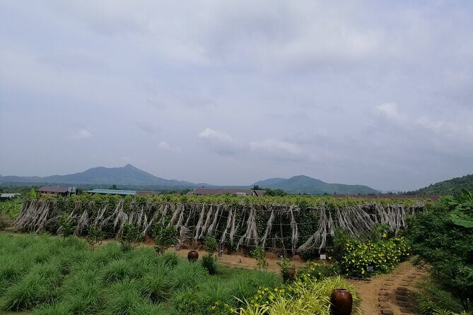 Kampot Tour Pepper Plantation, Salt Field, Cave, Secret Lake - Practical Details and Tips