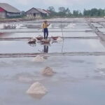 Kampot: Tuk Tuk Trip to Pepper Farm, Kep, Crab Market & More - A Deep Dive into the Kampot & Kep Adventure