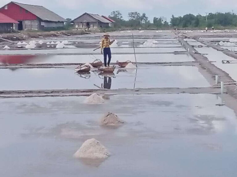 Kampot: Tuk Tuk Trip to Pepper Farm, Kep, Crab Market & More - A Deep Dive into the Kampot & Kep Adventure