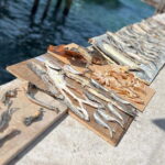 KAMPUNG GIPSI-DAY TRIP TO BAJAU HEAVEN FREE NASIGORENG & TEH - Cultural Performances and Traditional Activities