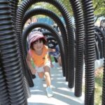 Kanagawa: Sagamiko Resort Pleasure Forest Admission Ticket - A Closer Look: What to Expect at Sagamiko Resort Pleasure Forest