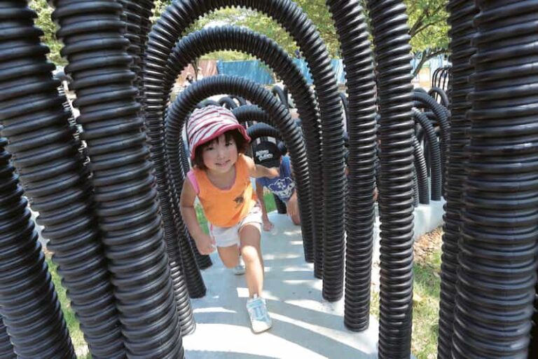 Kanagawa: Sagamiko Resort Pleasure Forest Admission Ticket - A Closer Look: What to Expect at Sagamiko Resort Pleasure Forest