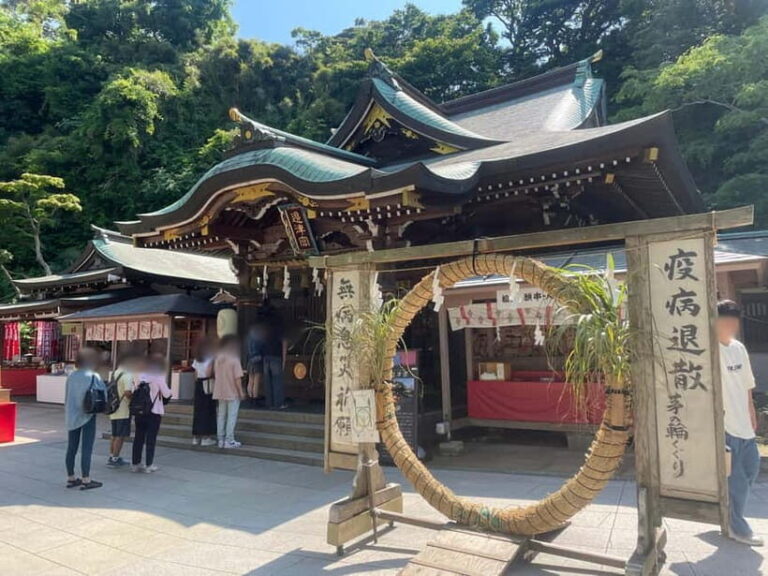 Kanagawa: Shopping and Historical Tour in Enoshima island - The Practicalities: What to Expect from the Tour