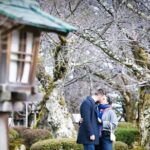 Kanazawa and Gokayama/Photoshoot by professional photographer - What the Tour Includes and Excludes