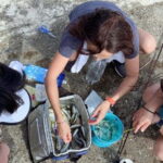 Kanazawa: Fishing Experience with Gyotaku and Cooking - Key Points