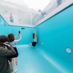 Kanazawa Half Day Private Tour: Local Highlights & Hidden Gems - The Experience & Value