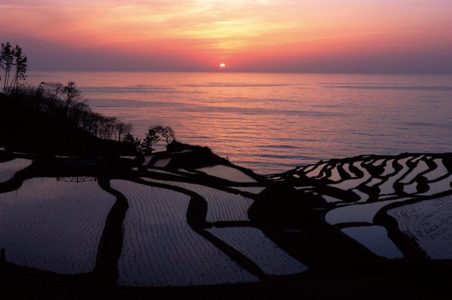 Kanazawa: Noto Peninsula Private Day-Tour - Analyzing the Value