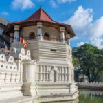 Kandy and Pinnawala: Private Day Trip from Colombo Harbor - What Travelers Say About This Tour