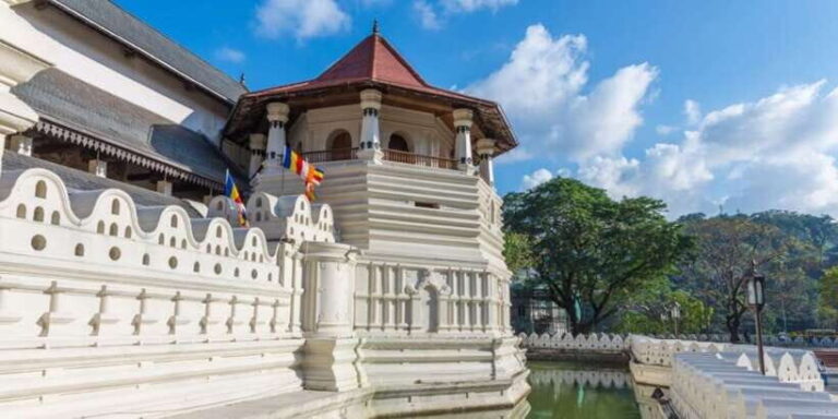 Kandy and Pinnawala: Private Day Trip from Colombo Harbor - What Travelers Say About This Tour