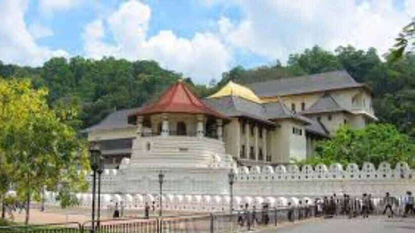 Kandy City Guided Day Trips by Laxury Car - Who Will Enjoy This Tour?