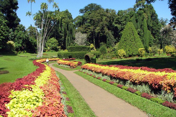 Kandy City Tour - Authenticity, Comfort, and Practicality