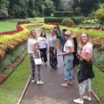 Kandy Day Trip from Colombo: Tea Factory- Peradeniya Botanical Gardens-Kandy - The Practicalities: What You Need to Know