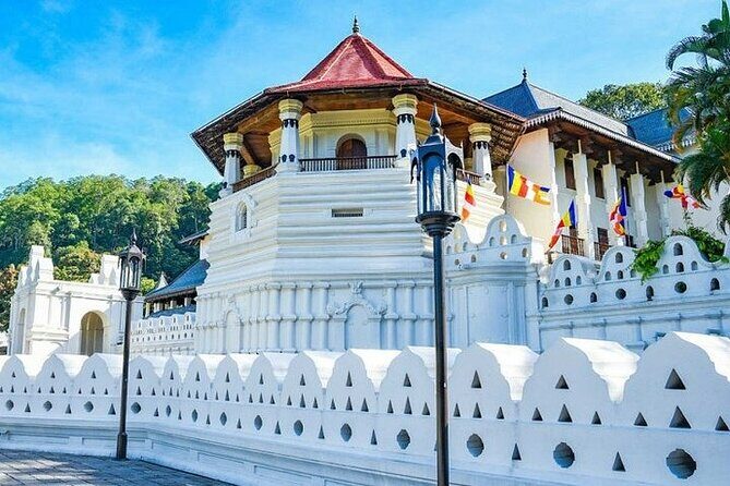 Kandy Day trip from Kalutara Beruwala Bentota Aluthgama Wadduwa - The Sum Up: A Solid Choice for a Cultural and Natural Snapshot of Kandy