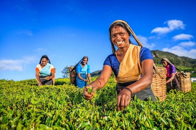 Kandy Nature & Culture Tour - The Sum Up