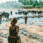 Kandy & Nuwara Eliya | 2 Days Tour - FAQ