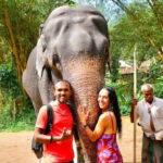 Kandy : Pinnawala Day Tour with Top Rated Local Guide - A Full Breakdown of the Tour Experience