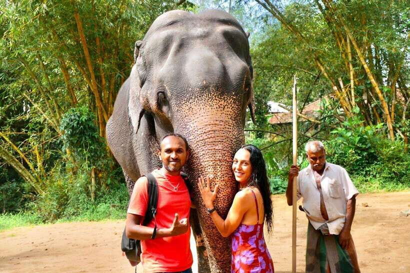 Kandy : Pinnawala Day Tour with Top Rated Local Guide - A Full Breakdown of the Tour Experience