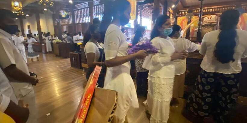 Kandy Pinnawala full day tour from Bentota and Kalutara - Why Choose This Tour?