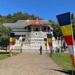 Kandy, Pinnawala & Tea Factory Full Day Tour From Colombo - Practical Details & Tips