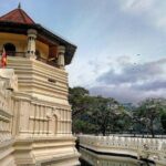 Kandy Sightseeing Day Tour from Colombo (All Inclusive) - A Deep Dive Into the Kandy Day Tour Experience