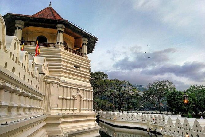 Kandy Sightseeing Day Tour from Colombo (All Inclusive) - A Deep Dive Into the Kandy Day Tour Experience
