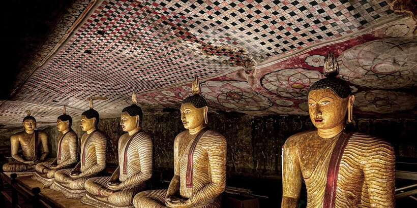 Kandy: Sigiriya Dambulla & Minneriya Park Safari day tour - A Complete Review of the Kandy: Sigiriya Dambulla & Minneriya Park Safari Day Tour