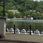 Kandy through Food with Buddhima - Why Choose This Tour?