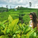 Kandy to Nuwara Eliya Day Tour - Who Will Love This Tour?