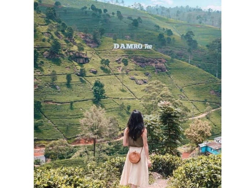 Kandy to Nuwara Eliya Day Tour - Who Should Consider This Tour?