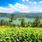 Kandy To Nuwara Eliya Drop Tour - Sri Lanka - Who is This Tour Best For?