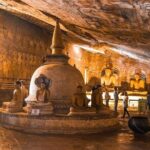 Kandy to Sigiriya Day Tour with a private vehicle - Why This Tour Offers Great Value