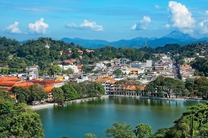 Kandy Transfer Visiting Dambulla Cave Temple and Herbal Garden - Who Should Consider This Tour?