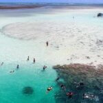 Kaneohe Sandbar Snorkeling Tour - 2nd Tour - What the Reviews Reveal: Authentic Experiences