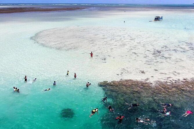 Kaneohe Sandbar Snorkeling Tour - 2nd Tour - What the Reviews Reveal: Authentic Experiences