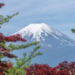 Kanto 10-hour chartered day tripMt. Fuji Day Trip - Transportation and Comfort