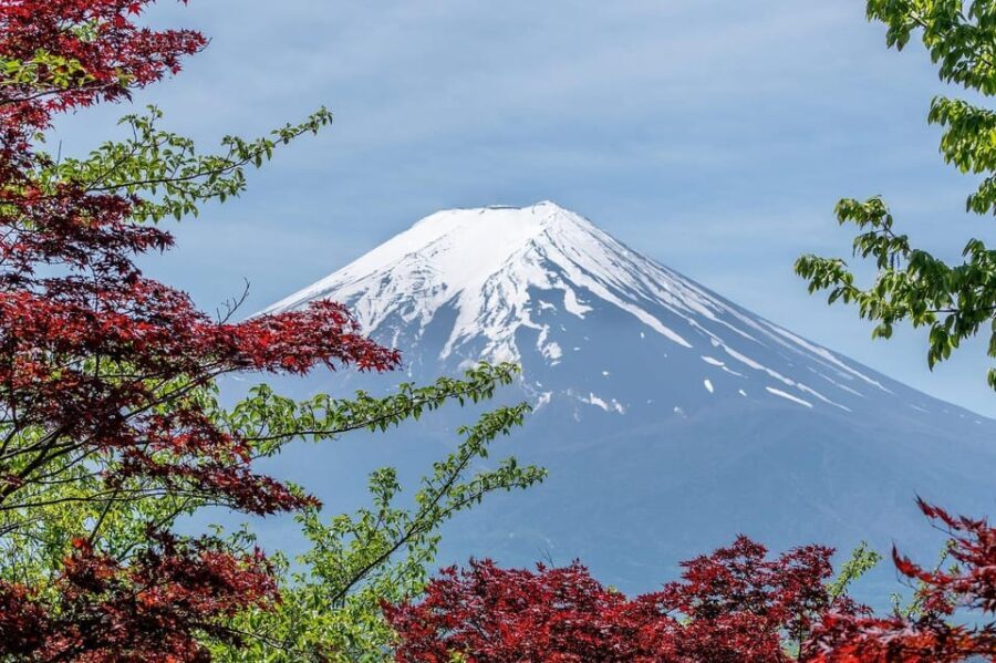 Kanto 10-hour chartered day tripMt. Fuji Day Trip - Transportation and Comfort