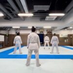 Karate Experience with the Shotokan Karate-do Instructor - A Deep Dive into the Experience