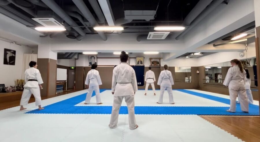 Karate Experience with the Shotokan Karate-do Instructor - A Deep Dive into the Experience