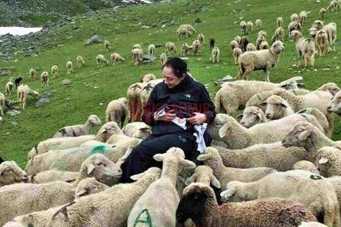 Kashmir Great Lakes Trek - What Makes This Trek Special